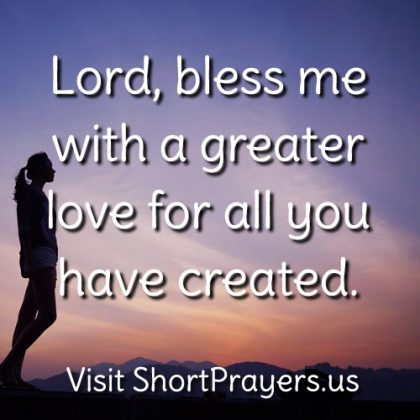 Lord, bless me with a greater love for all you have created.